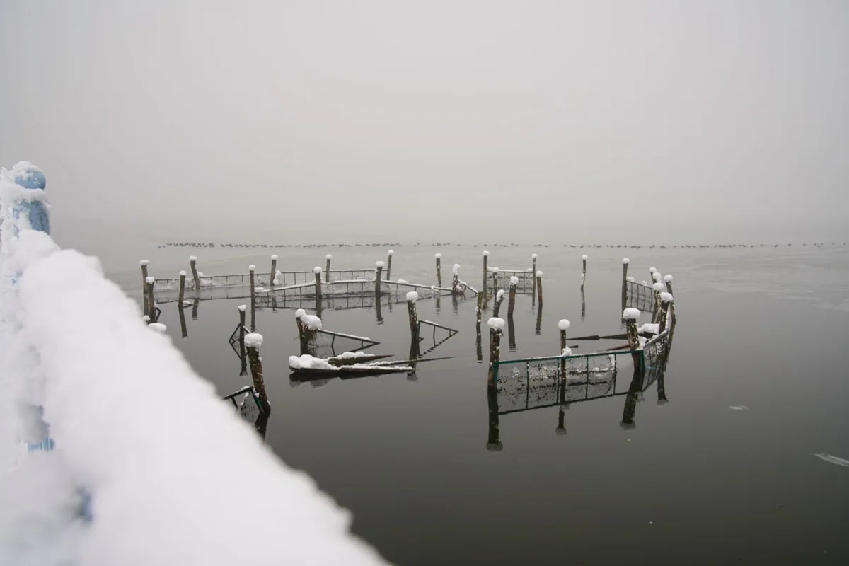 The advantages of getting tattooed in winter — design 1